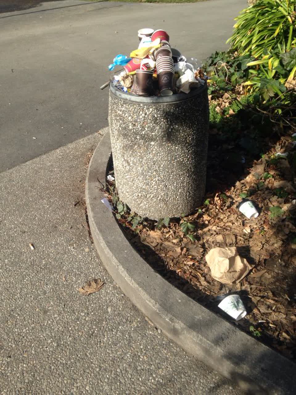 The photograph attached to this rubbish/recycling report