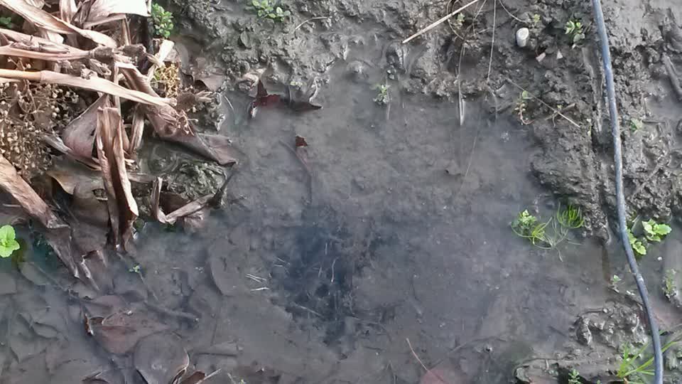 The photograph attached to this water supply report