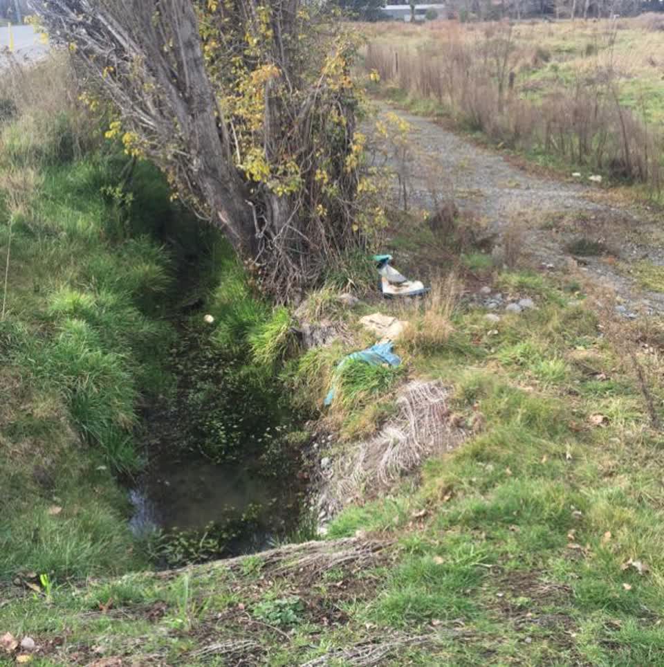 The photograph attached to this rubbish/recycling report