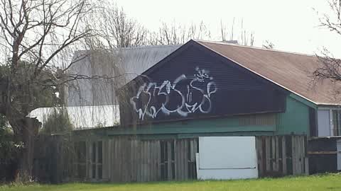 Graffiti, a report photo