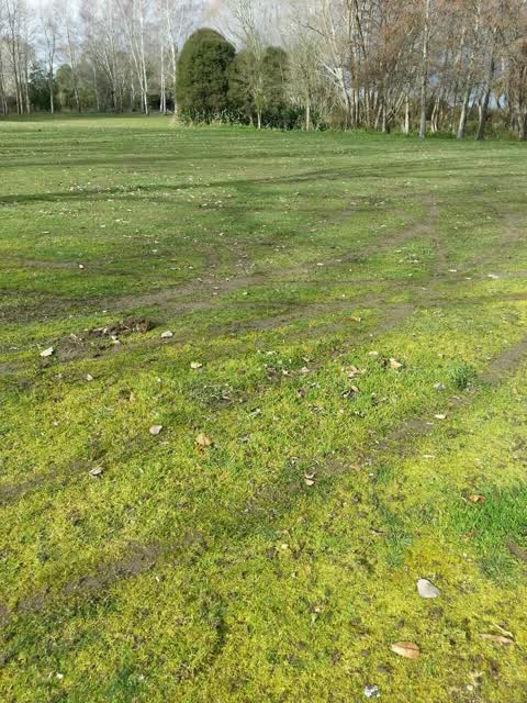 Parks, a report photo