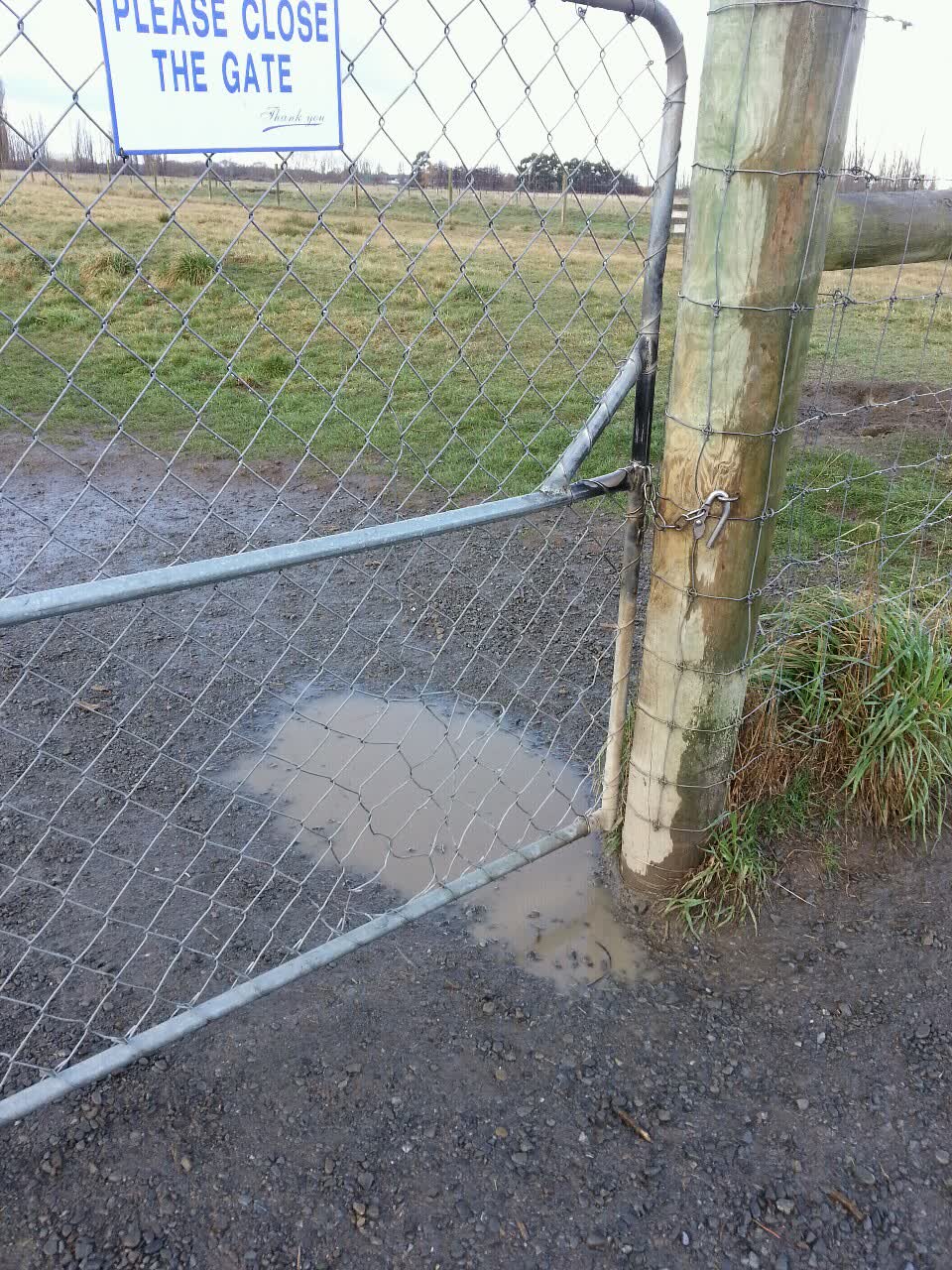 The photograph attached to this parks report