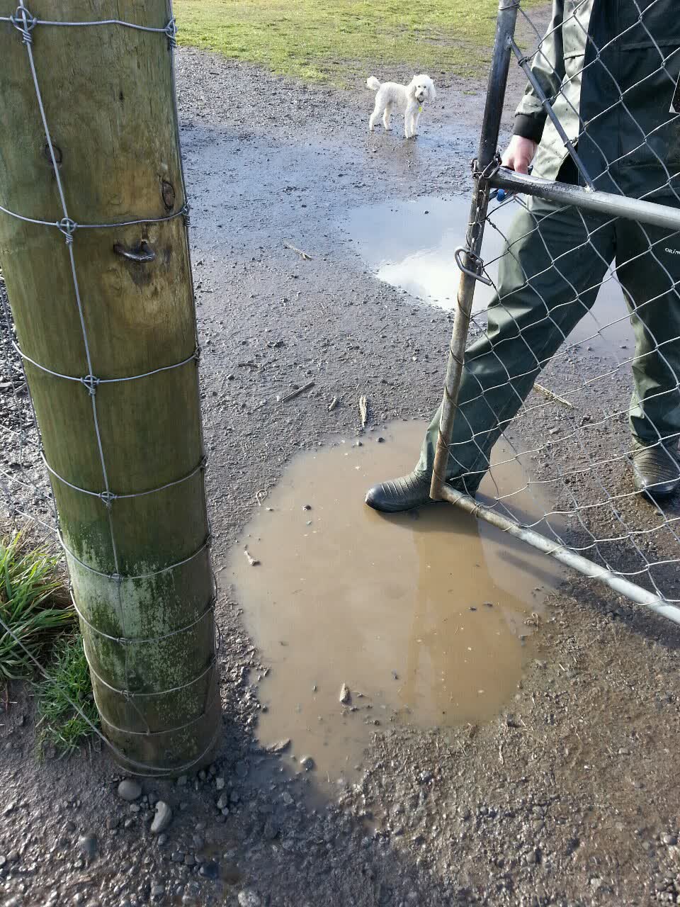 The photograph attached to this parks report