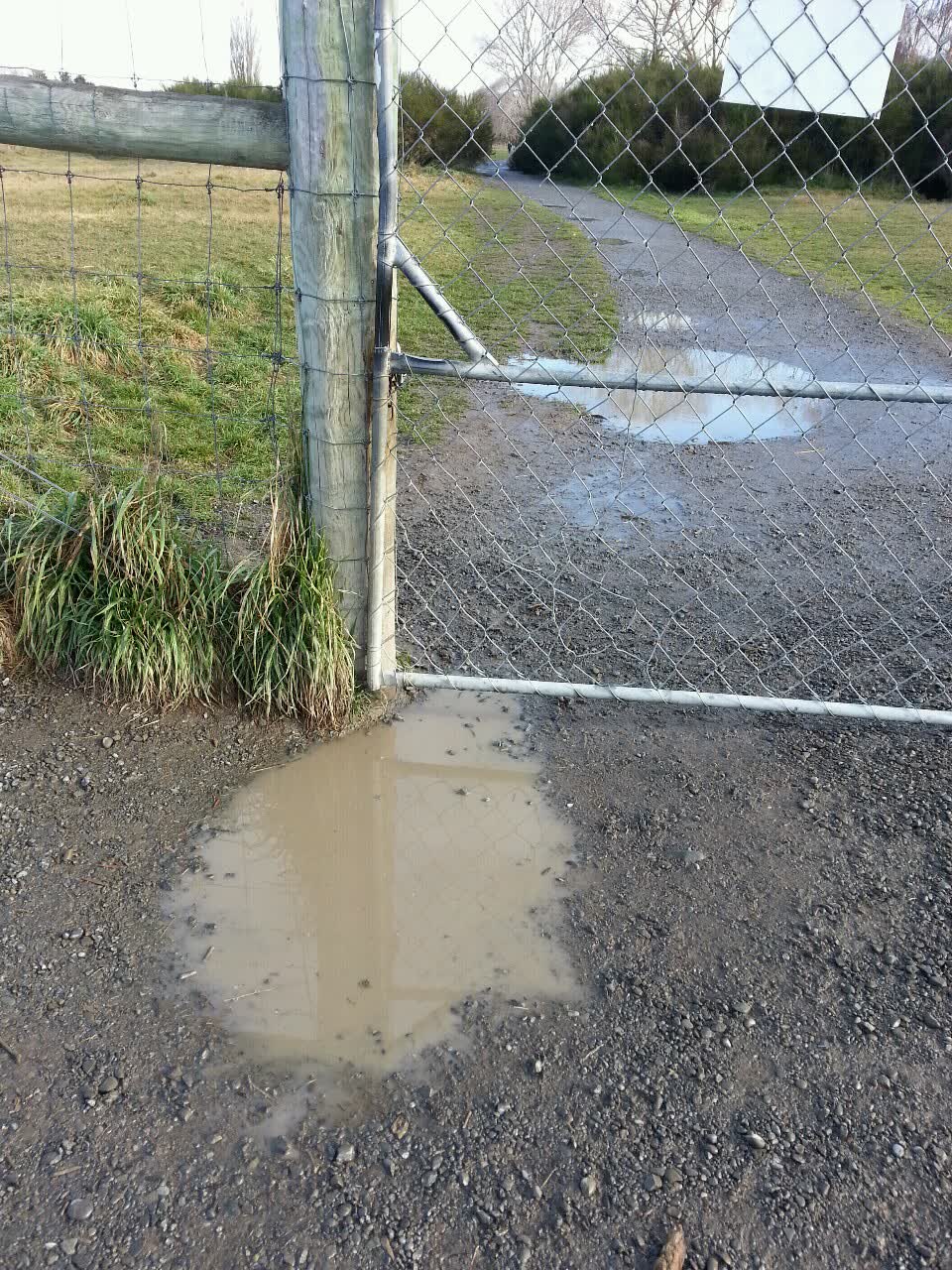 The photograph attached to this parks report