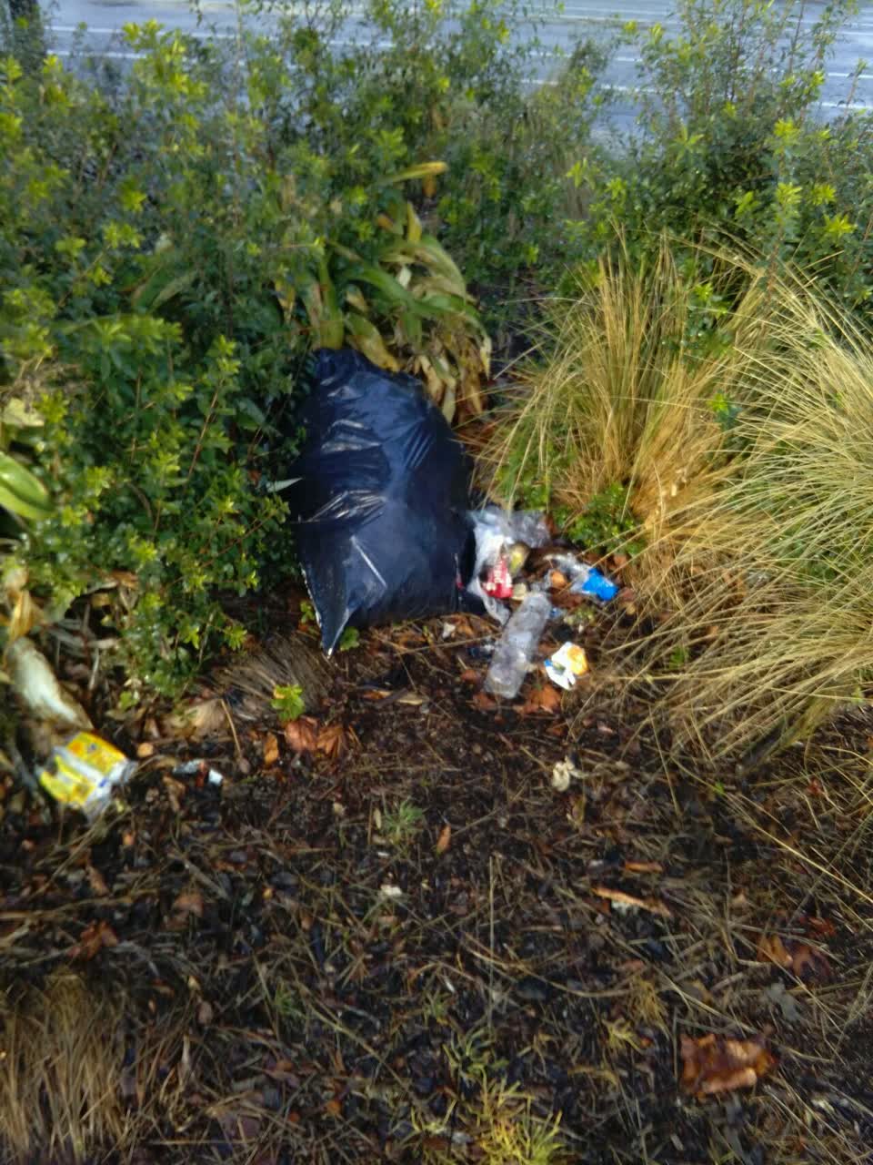 The photograph attached to this parks report