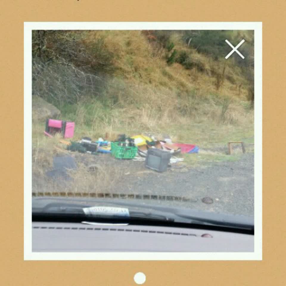 The photograph attached to this rubbish/recycling report