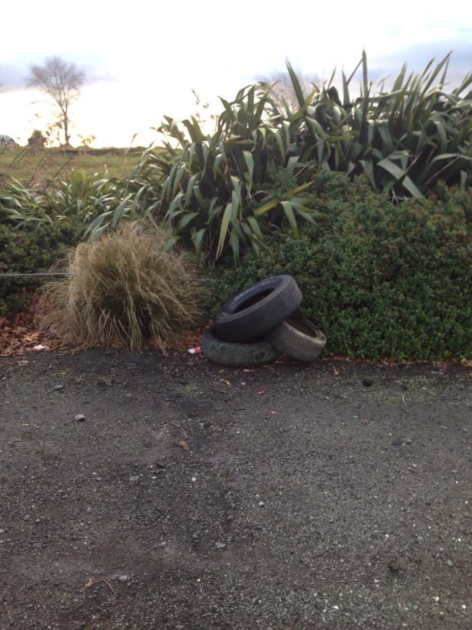 The photograph attached to this rubbish/recycling report