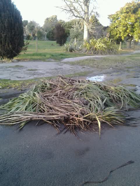 Rubbish/Recycling, a report photo
