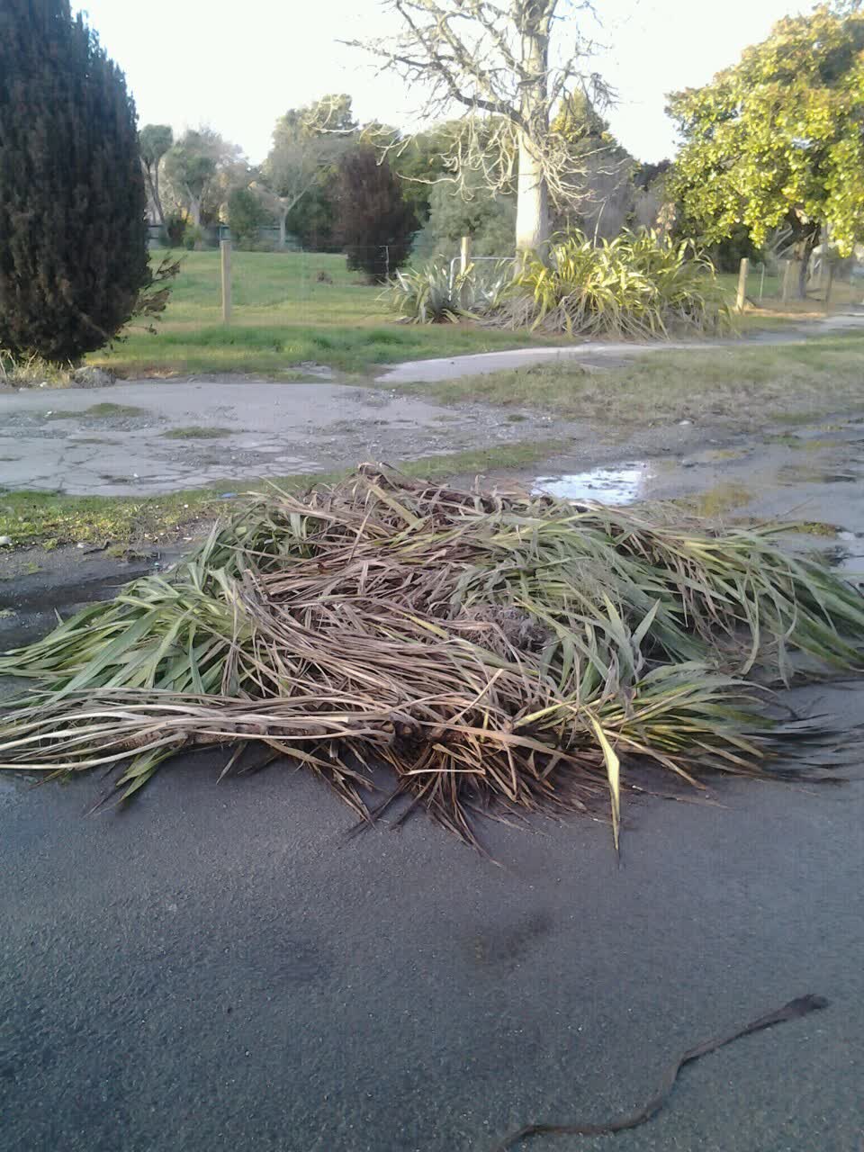 The photograph attached to this rubbish/recycling report