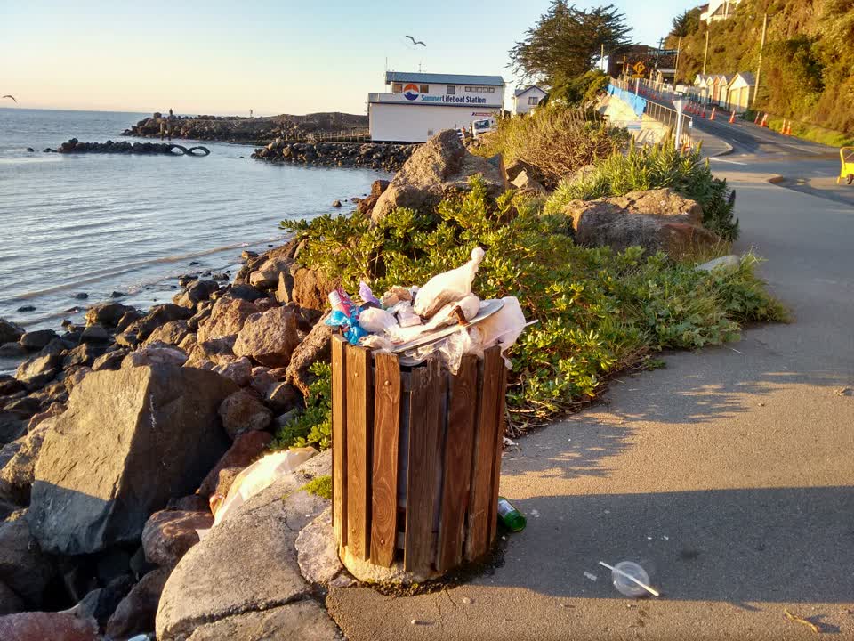 The photograph attached to this rubbish/recycling report