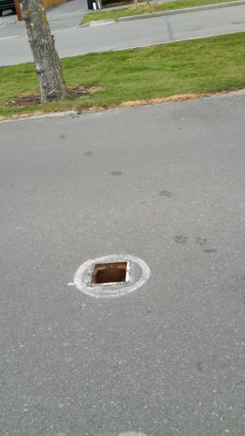 Roading/Streets, a report photo