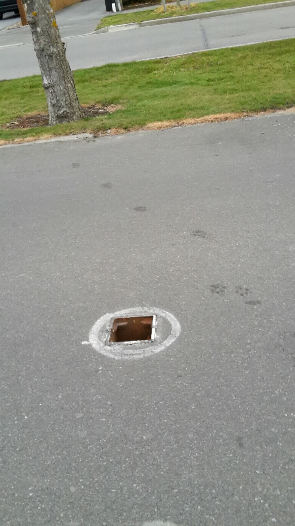 The photograph attached to this roading/streets report