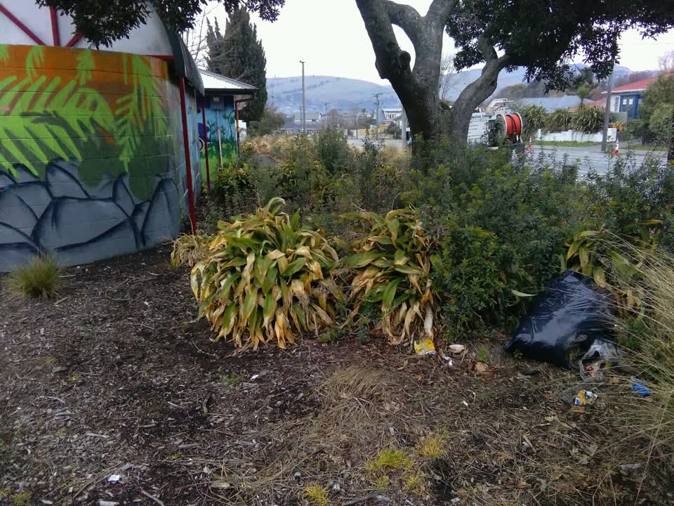 The photograph attached to this parks report