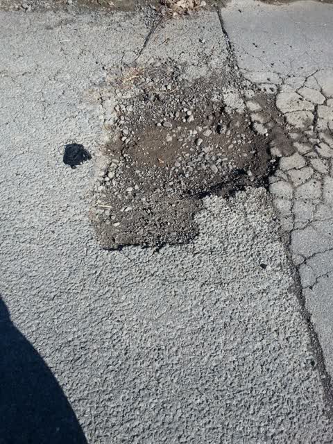 Parks, a report photo