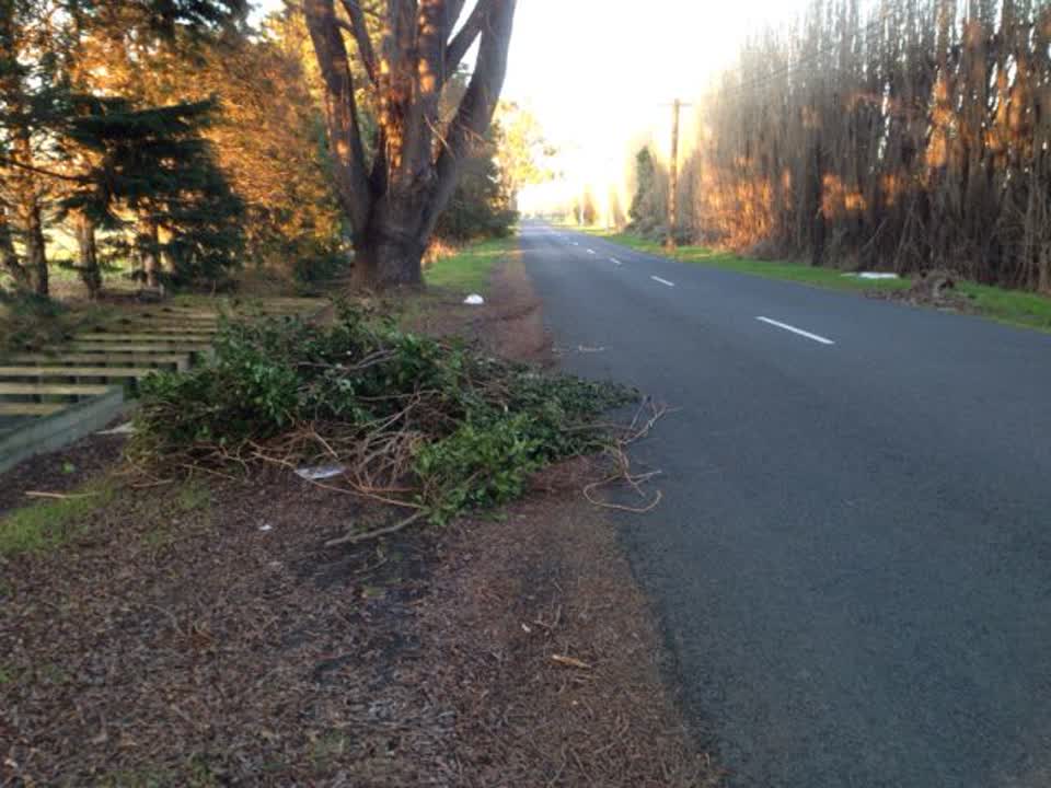 The photograph attached to this roading/streets report