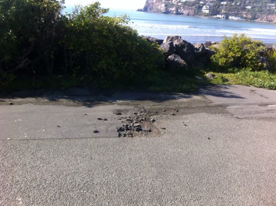 The photograph attached to this parks report