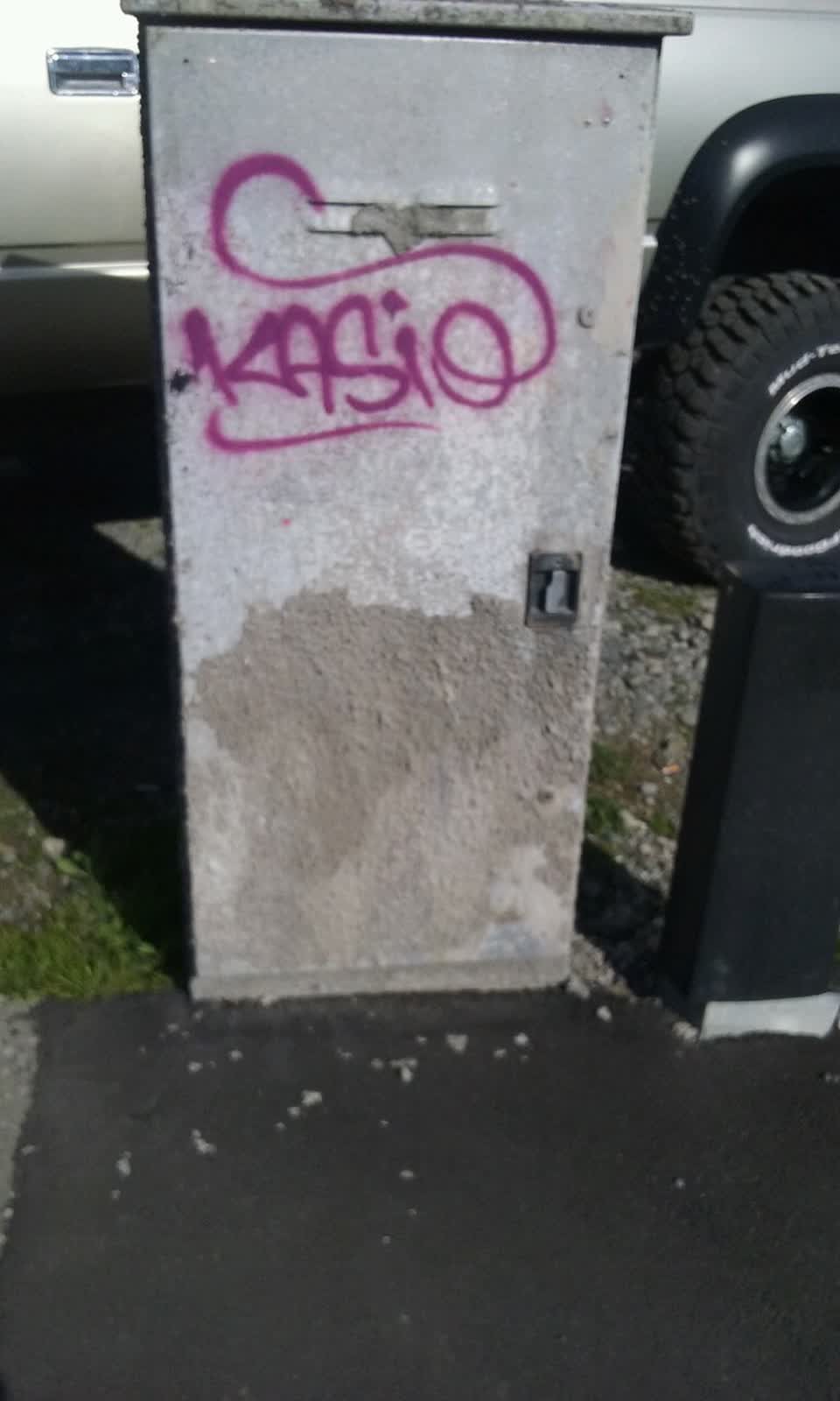 The photograph attached to this graffiti report