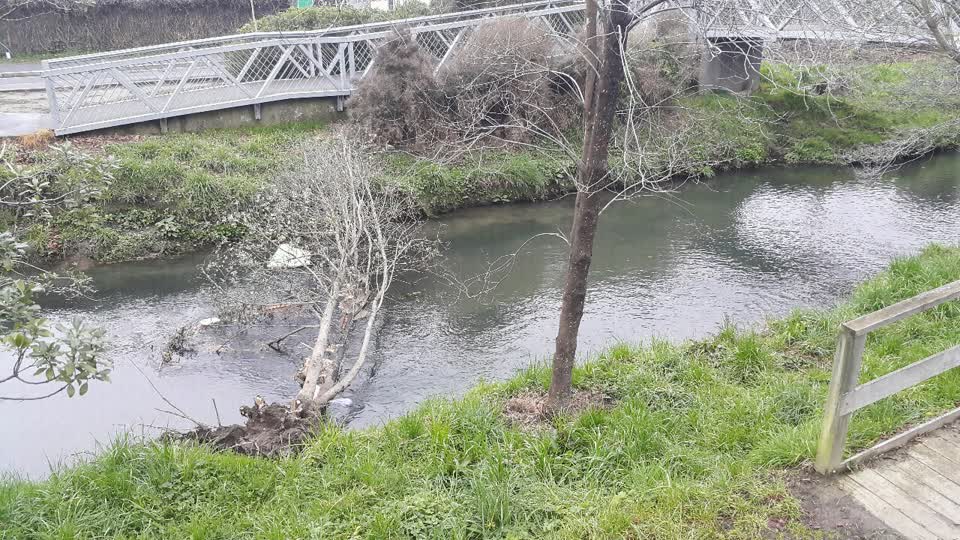 The photograph attached to this wastewater/stormwater report