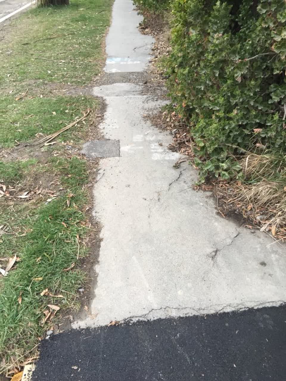 The photograph attached to this roading/streets report
