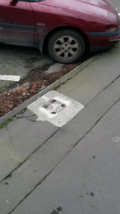 Roading/Streets, a report photo