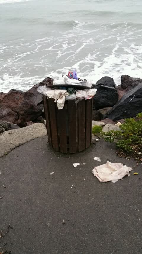 Rubbish/Recycling, a report photo
