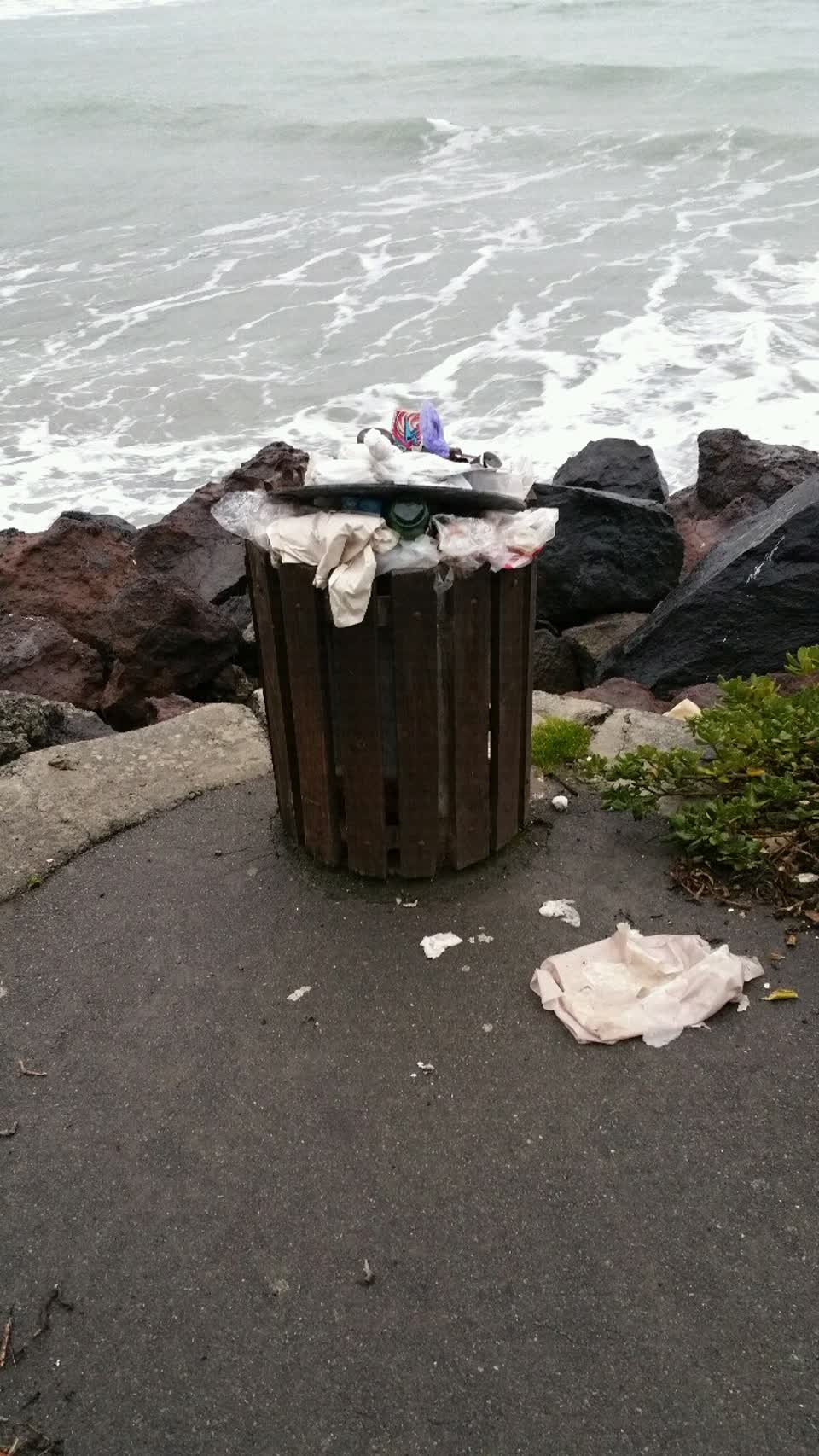 The photograph attached to this rubbish/recycling report