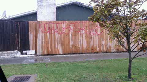 Graffiti, a report photo