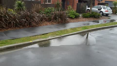 Roading/Streets, a report photo