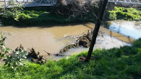 Wastewater/Stormwater, a report photo