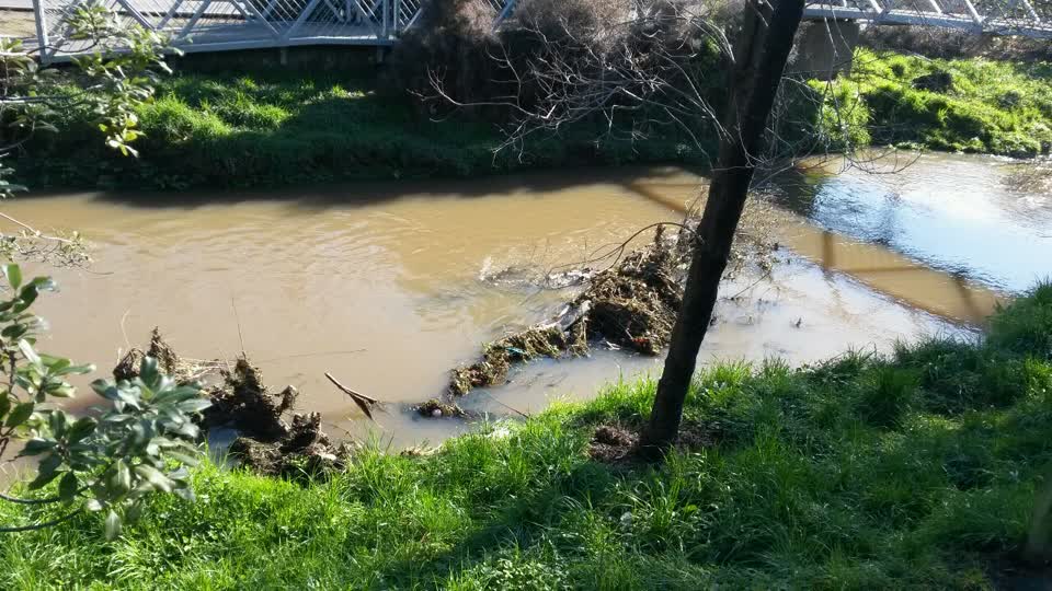 The photograph attached to this wastewater/stormwater report