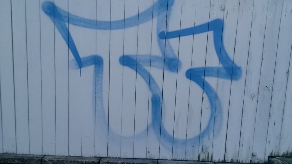 The photograph attached to this graffiti report
