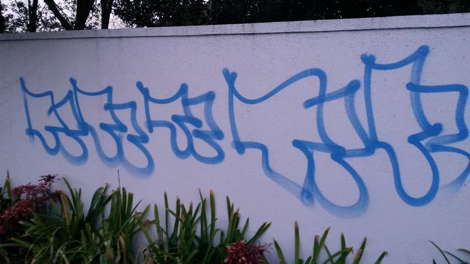 The photograph attached to this graffiti report