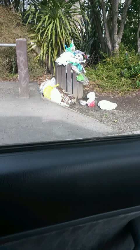 Rubbish/Recycling, a report photo