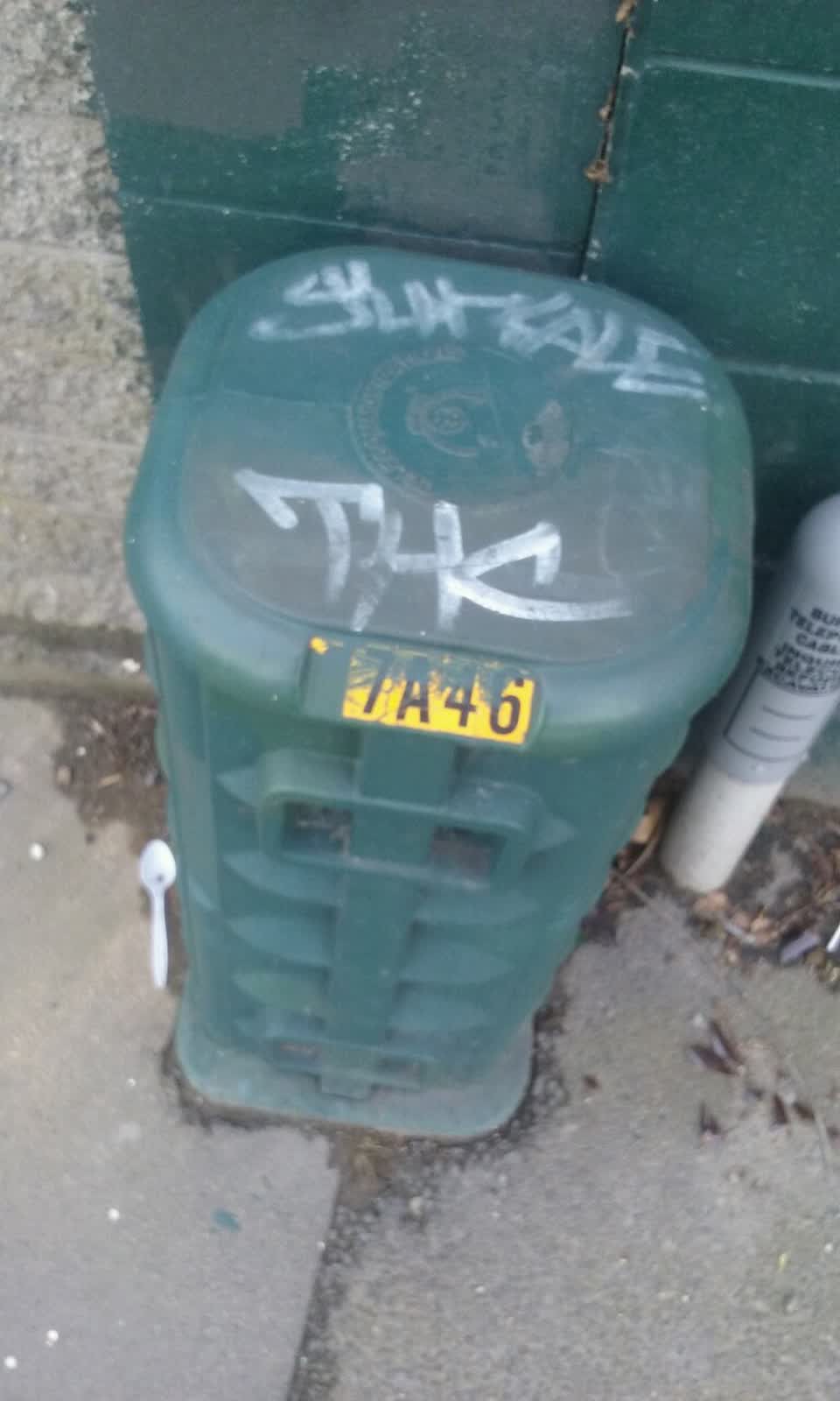 The photograph attached to this graffiti report