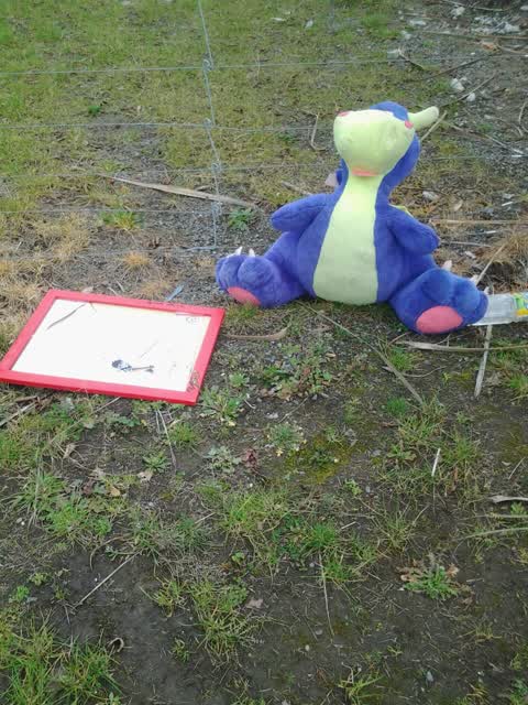Rubbish/Recycling, a report photo
