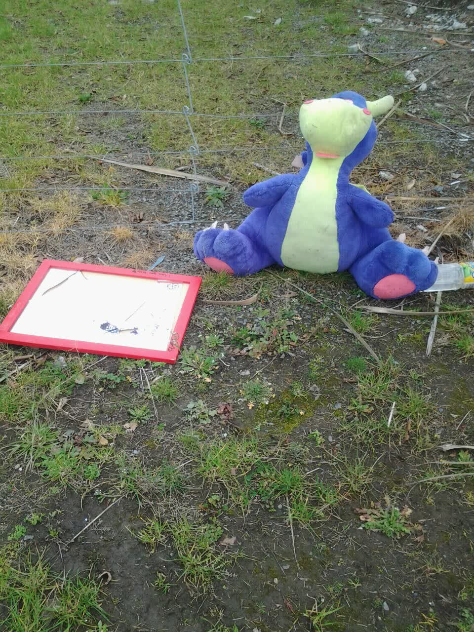 The photograph attached to this rubbish/recycling report