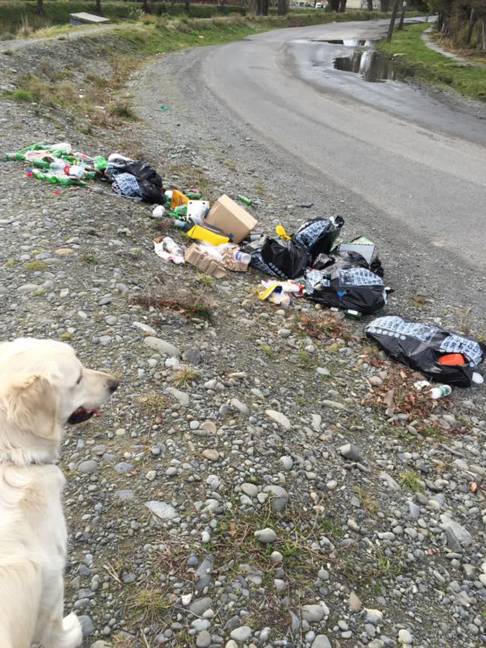 The photograph attached to this rubbish/recycling report