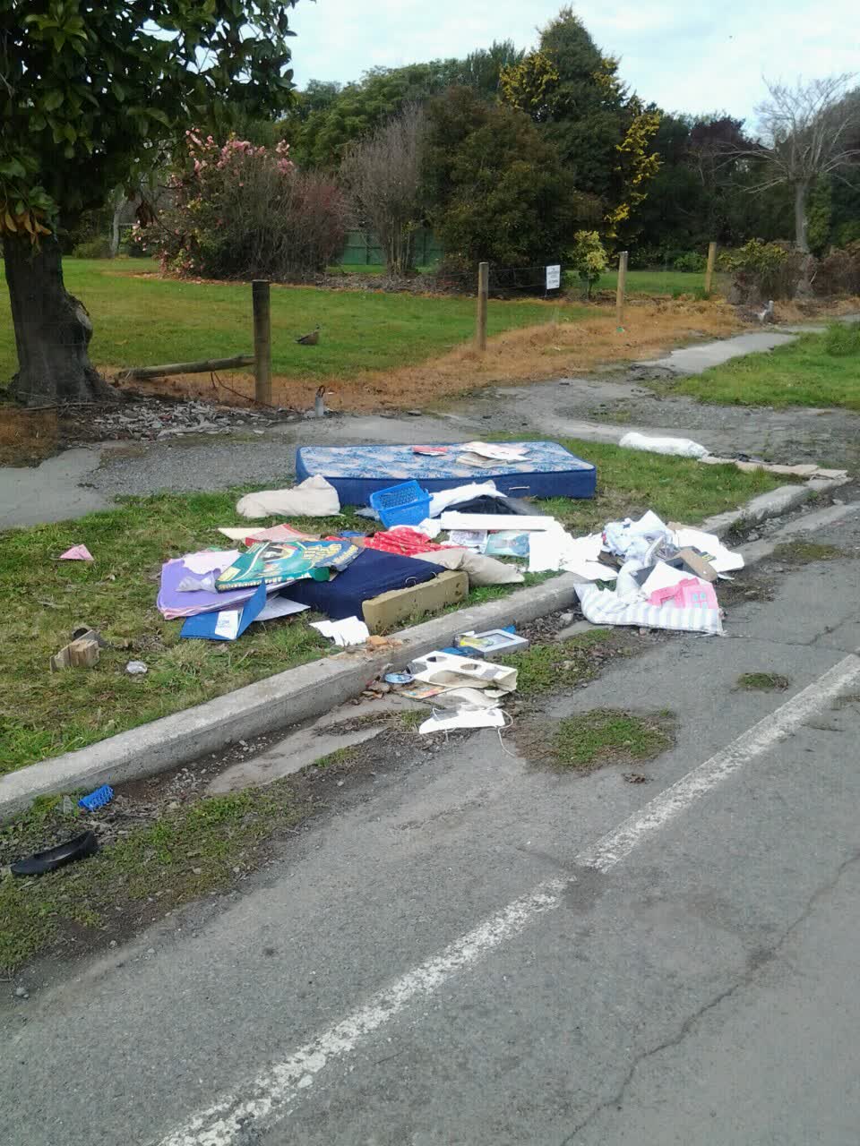 The photograph attached to this rubbish/recycling report