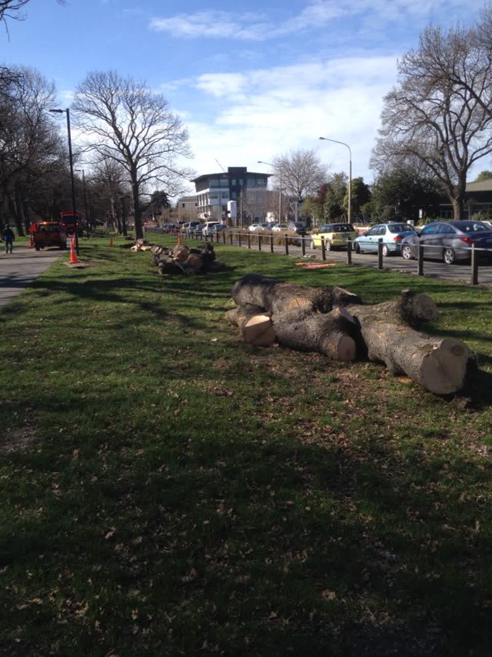 The photograph attached to this parks report