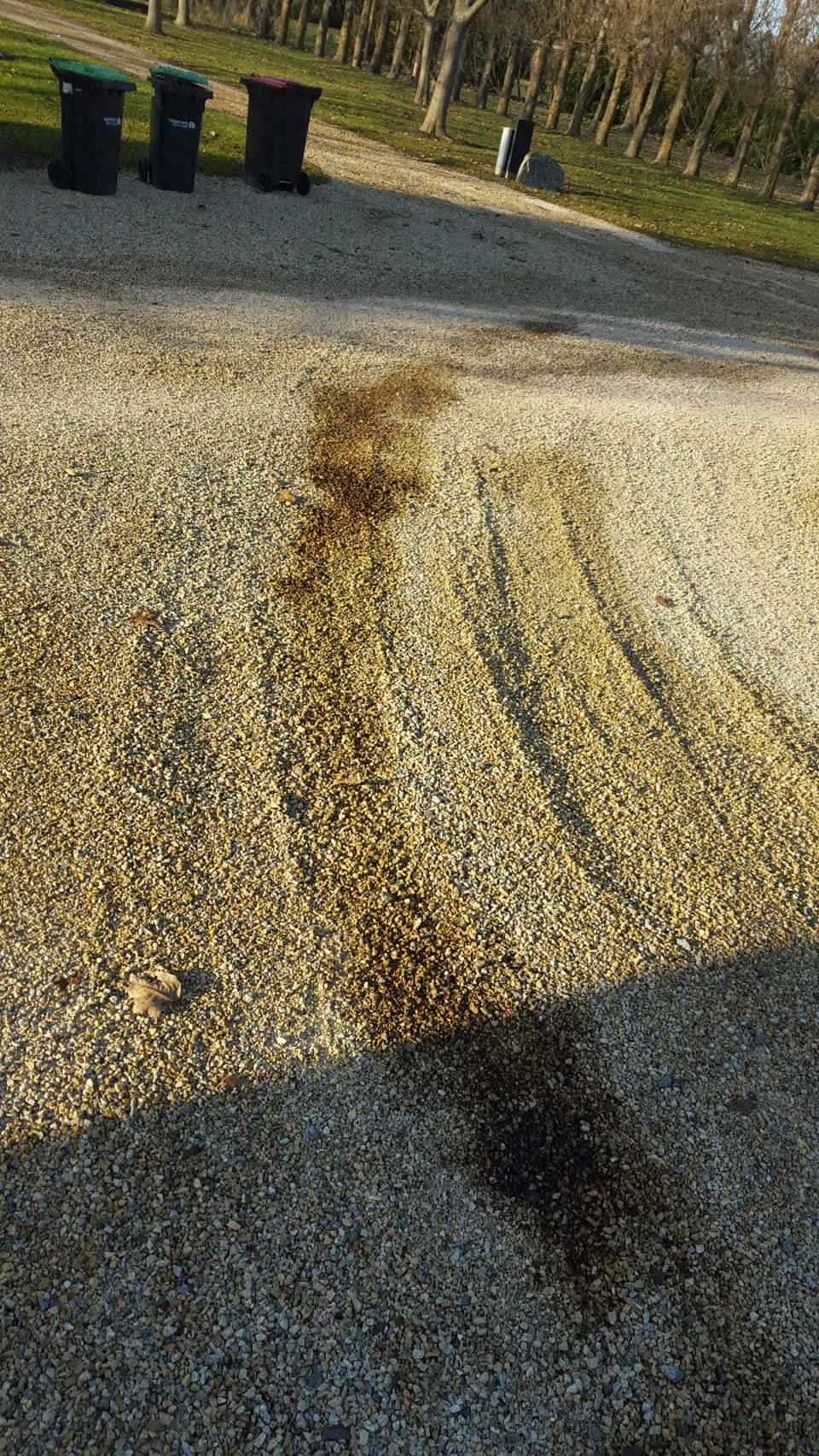The photograph attached to this rubbish/recycling report