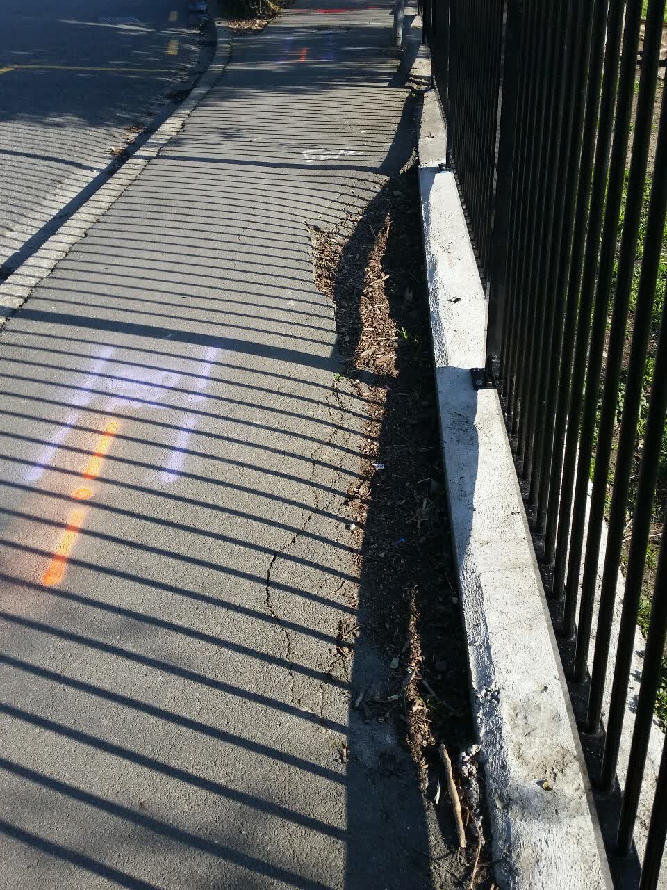 The photograph attached to this roading/streets report