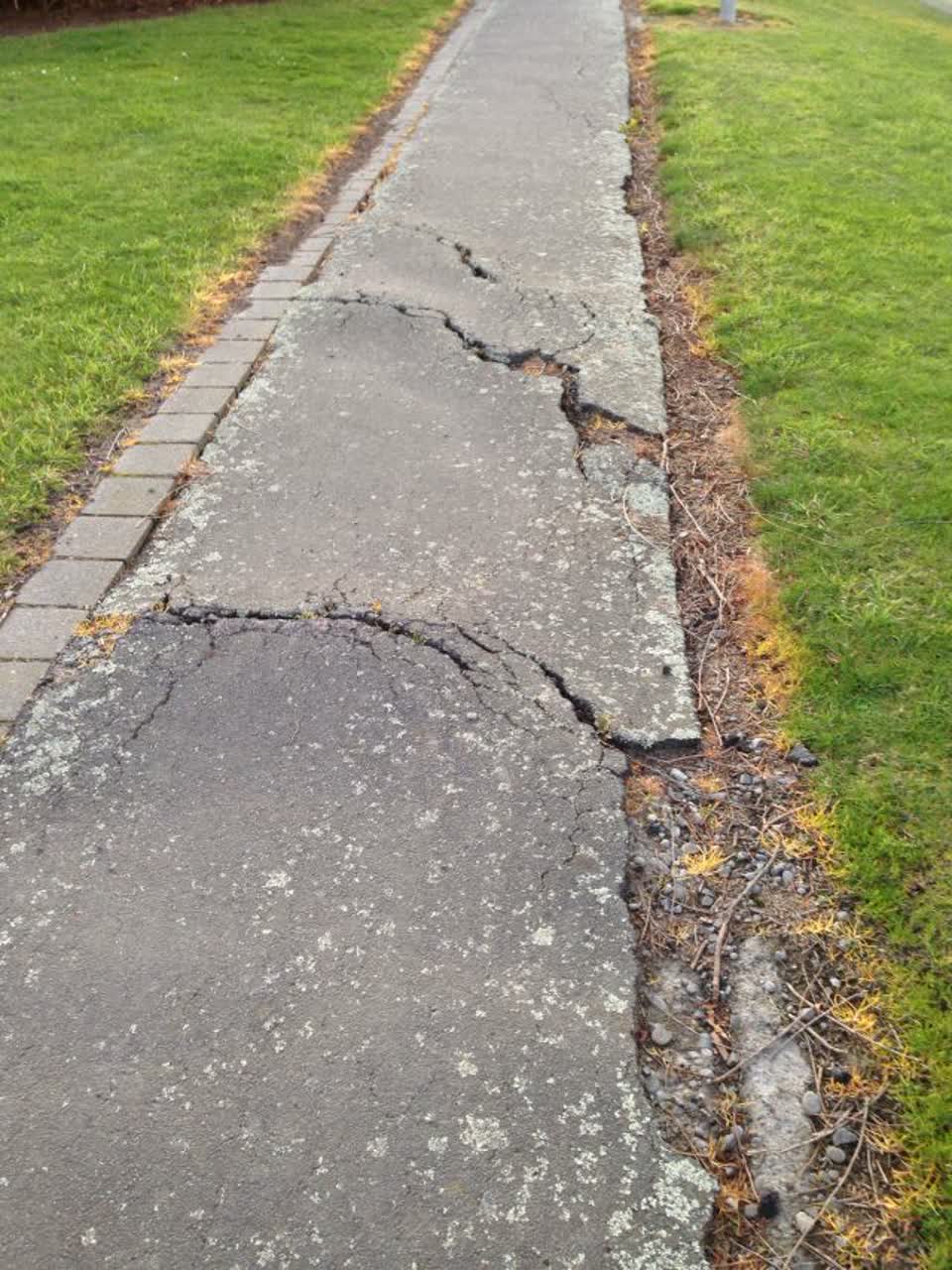 The photograph attached to this parks report