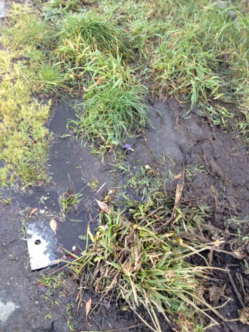 The photograph attached to this water supply report