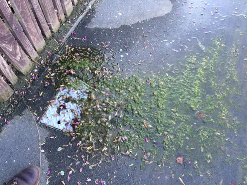 The photograph attached to this water supply report