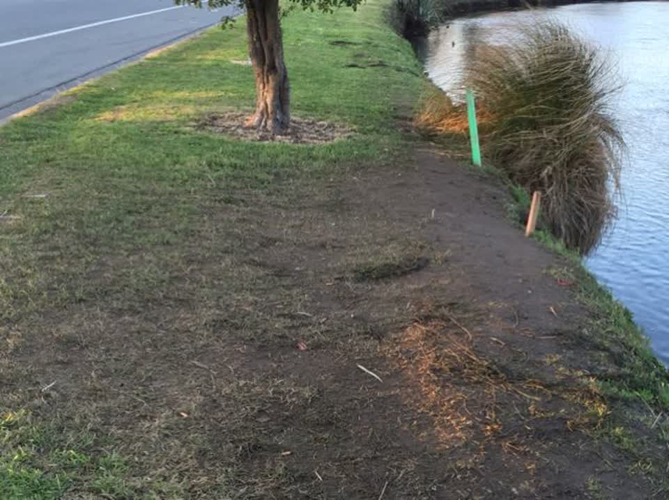The photograph attached to this parks report