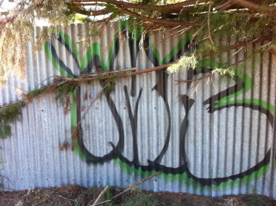 The photograph attached to this graffiti report