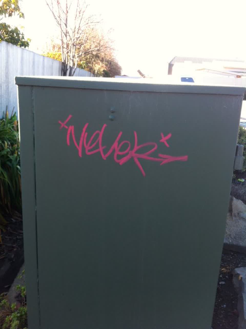 The photograph attached to this graffiti report