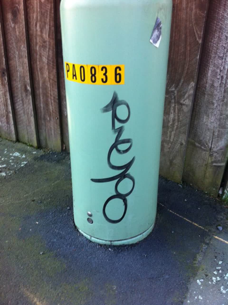 The photograph attached to this graffiti report