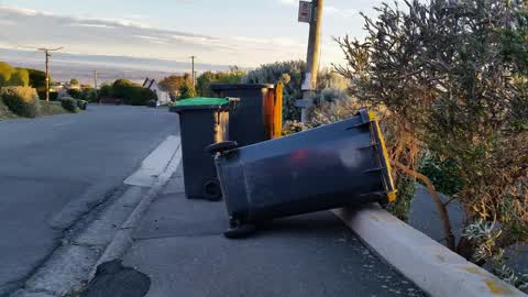 Rubbish/Recycling, a report photo