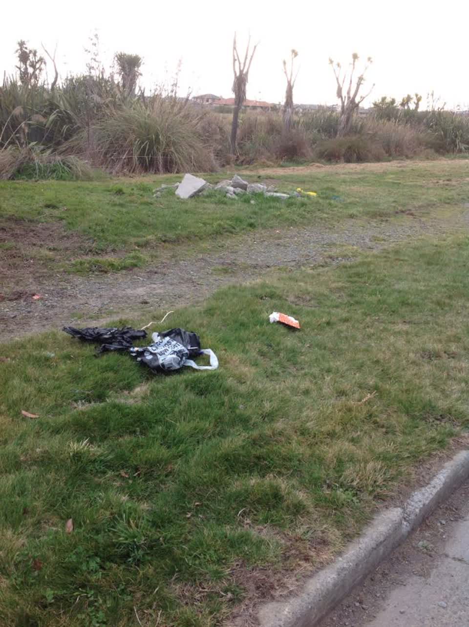 The photograph attached to this rubbish/recycling report